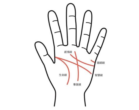 生命線下面多一條|手相怎麼看？感情線、智慧線、生命線在哪裡？長度、。